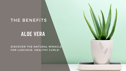 Aloe Vera: The Sassy Savior for 4C Hair!